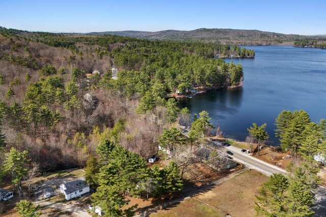 birds eye view of property featuring a forest view and a water and mountain view