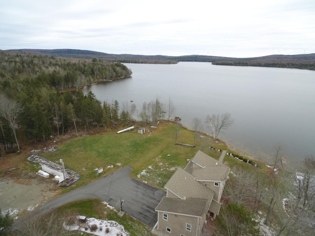 bird's eye view with a forest view and a water view