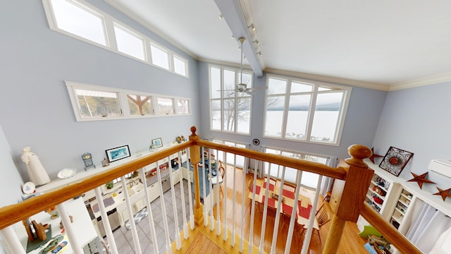 interior space featuring light wood finished floors and crown molding