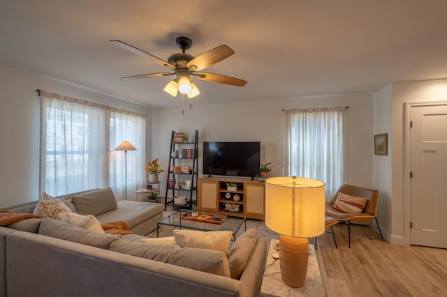 46 Firefly Ln, Bangor, ME 04401 - living room with light wood-type flooring, plenty of natural light, and a ceiling fan