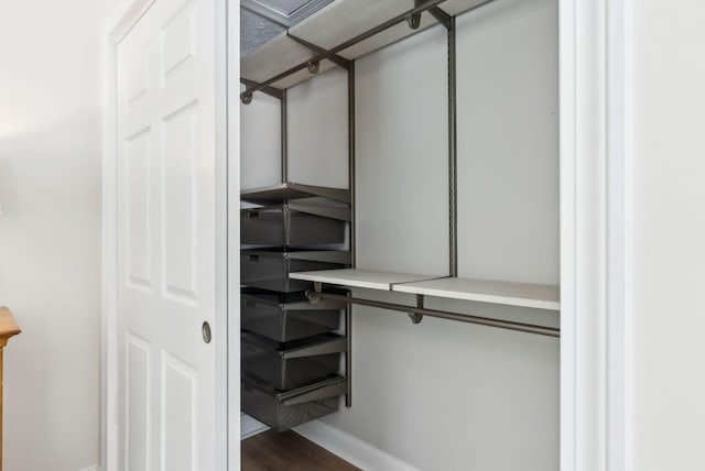 walk in closet featuring wood finished floors