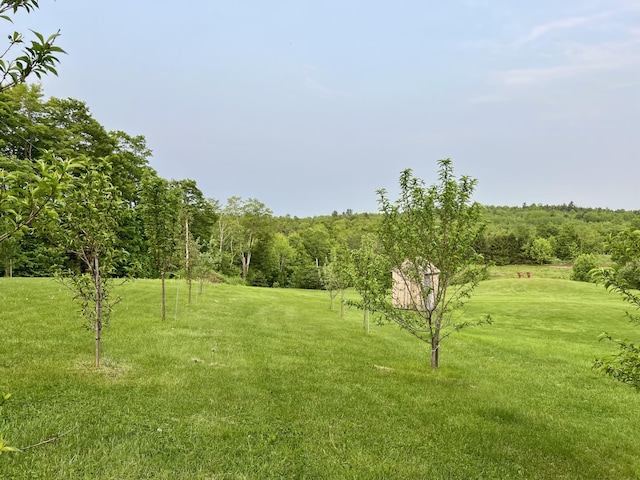 1260 Moosehead Trl, Jackson, ME 04921 - view of grassy yard
