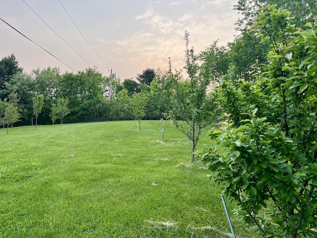 1260 Moosehead Trl, Jackson, ME 04921 - view of green lawn