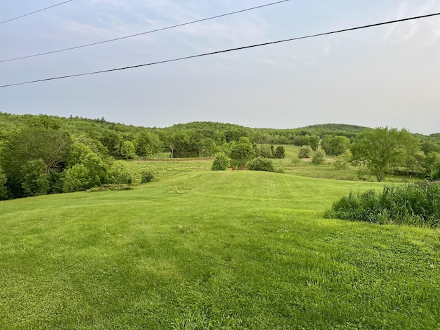 1260 Moosehead Trl, Jackson, ME 04921 - view of grassy yard with a forest view