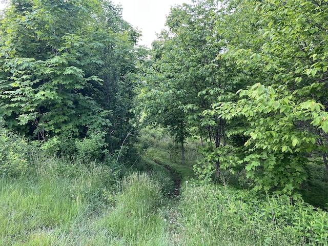 1260 Moosehead Trl, Jackson, ME 04921 - view of local wilderness