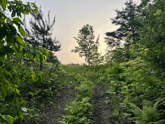 1260 Moosehead Trl, Jackson, ME 04921 - view of nature at dusk