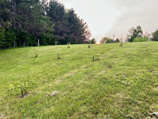 1260 Moosehead Trl, Jackson, ME 04921 - view of green lawn with a rural view