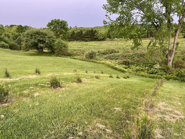 1260 Moosehead Trl, Jackson, ME 04921 - view of grassy yard