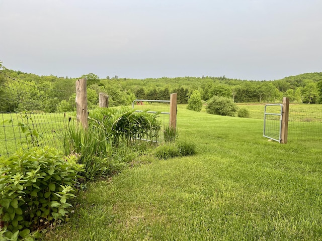 1260 Moosehead Trl, Jackson, ME 04921 - view of yard with a wooded view and a rural view