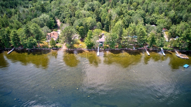 aerial view with a water view and a view of trees