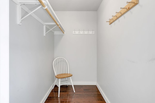 walk in closet featuring wood finished floors