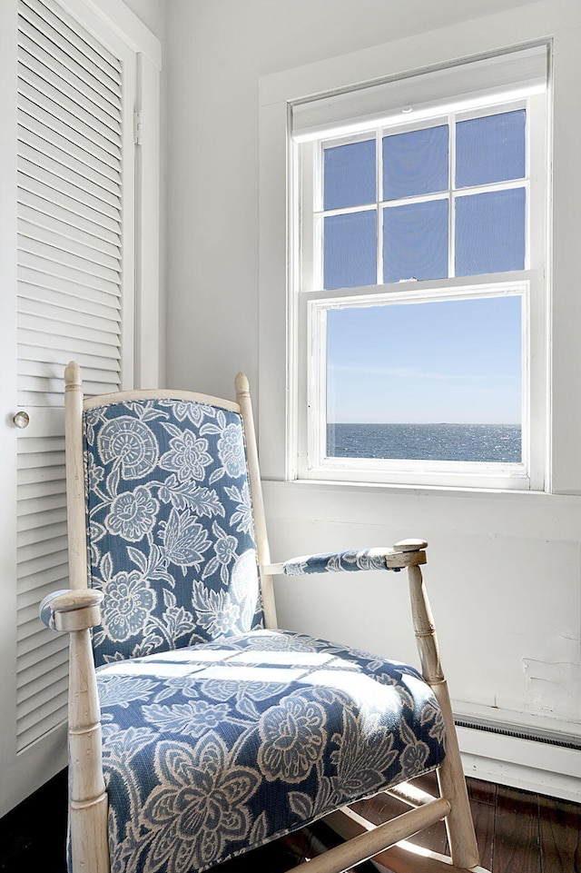 bedroom featuring a baseboard heating unit