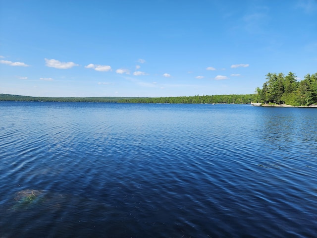 0 Sugar Cove Ln, Eastbrook, ME 04634 - photo 3