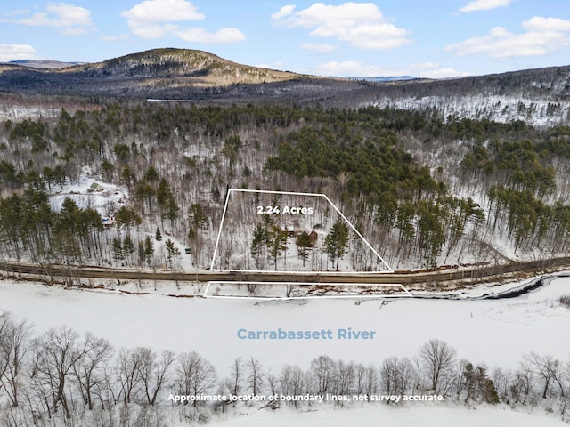 snowy aerial view featuring a mountain view and a view of trees