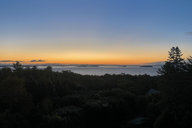 nature at dusk with a water view