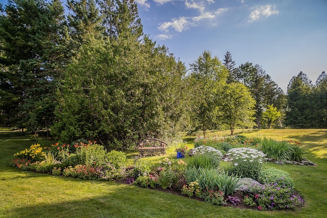 view of home's community with a yard