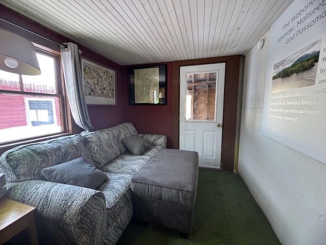 51 N Guilford Rd, Monson, ME 04464 - carpeted living area with wooden ceiling