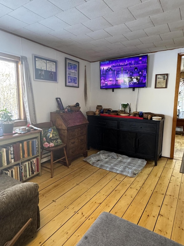 51 N Guilford Rd, Monson, ME 04464 - living area with light wood-type flooring