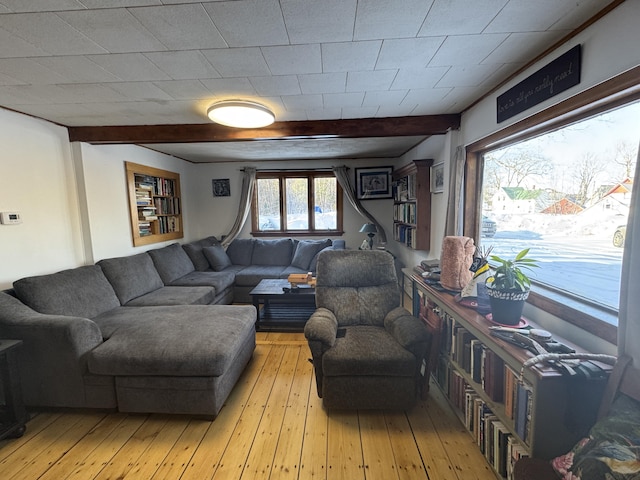 51 N Guilford Rd, Monson, ME 04464 - living room featuring beam ceiling and light wood finished floors