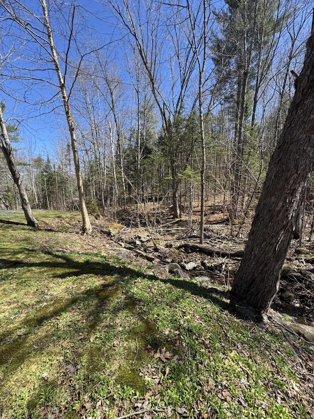 51 N Guilford Rd, Monson, ME 04464 - view of yard