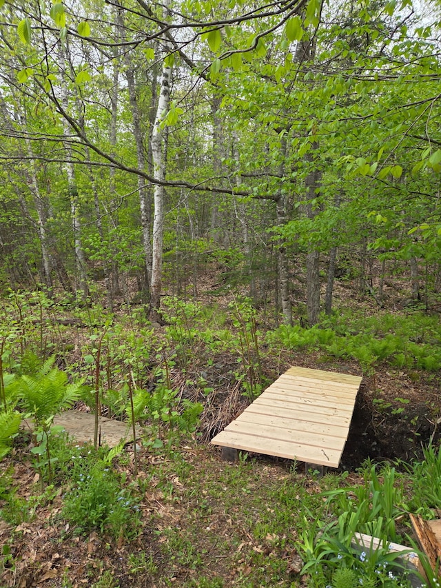 51 N Guilford Rd, Monson, ME 04464 - view of property's community featuring a forest view
