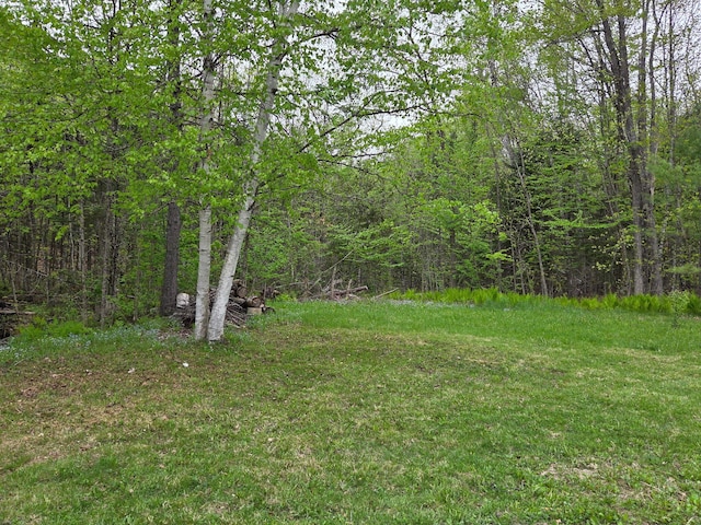 51 N Guilford Rd, Monson, ME 04464 - view of grassy yard with a forest view
