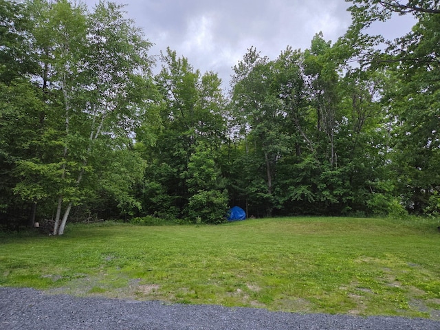 51 N Guilford Rd, Monson, ME 04464 - view of green lawn