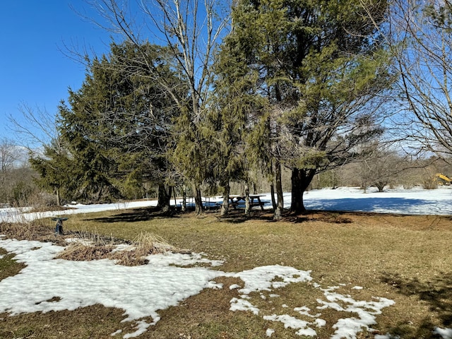 view of yard layered in snow