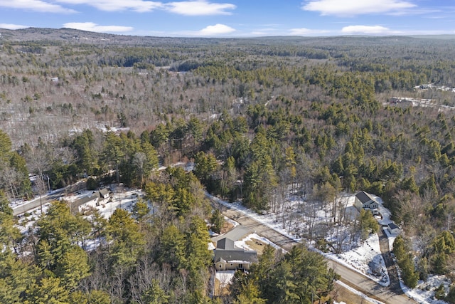 aerial view featuring a wooded view