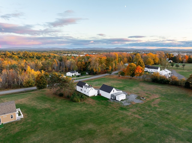 aerial view at dusk with a forest view