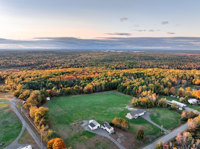 aerial view at dusk with a view of trees