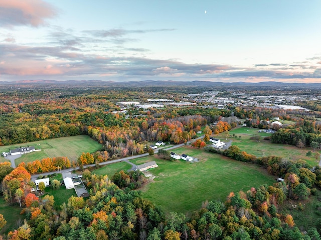 bird's eye view