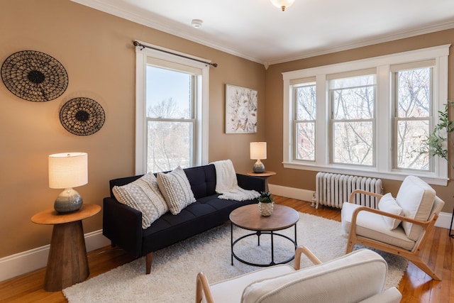 living room with radiator, a healthy amount of sunlight, crown molding, and wood finished floors