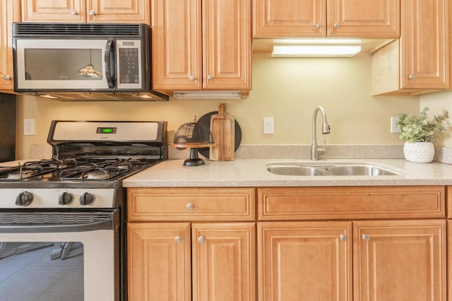 kitchen with stainless steel appliances and a sink