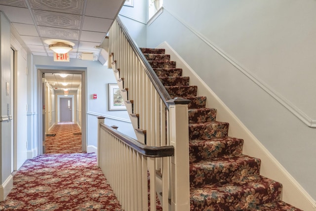 stairway featuring carpet flooring