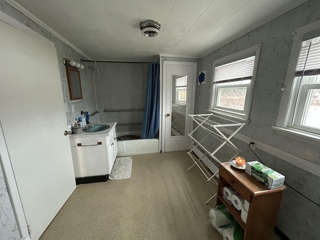 bathroom with plenty of natural light, vanity, and a shower with curtain