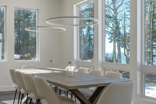 dining area featuring wood finished floors