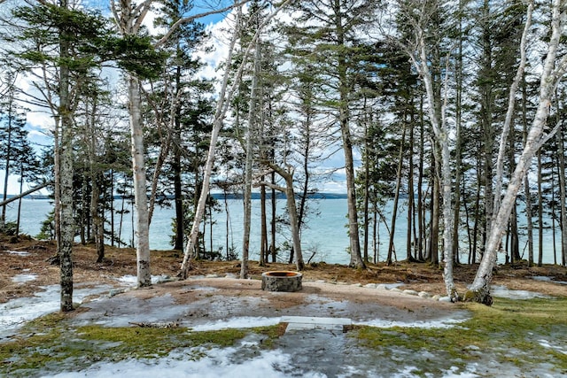 view of water feature with a fire pit