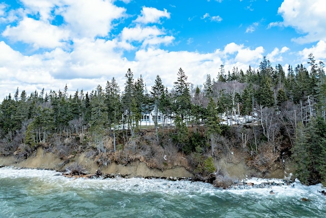 view of local wilderness with a wooded view