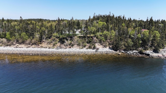101 Cow Pt, Roque Bluffs, ME 04654 - water view with a heavily wooded area