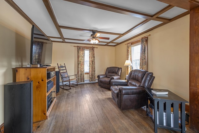 living room featuring a ceiling fan, a wealth of natural light, coffered ceiling, and dark wood finished floors