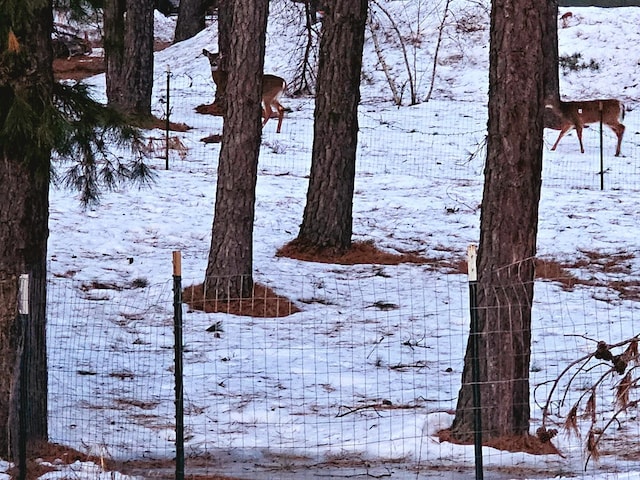 view of yard layered in snow