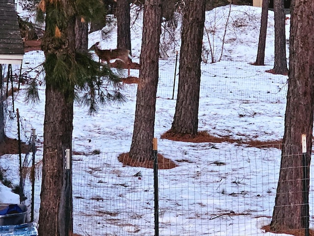 view of snowy yard