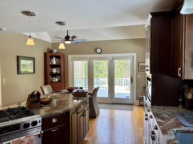 kitchen with dark brown cabinets, pendant lighting, dark stone counters, light wood-type flooring, and appliances with stainless steel finishes