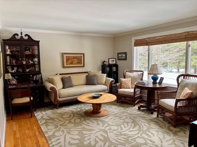 living area featuring wood finished floors and ornamental molding