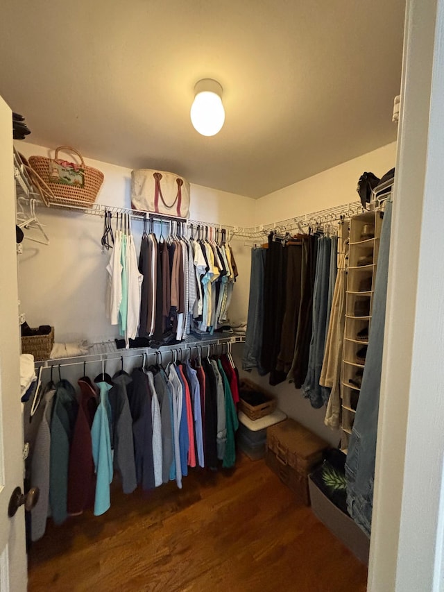 walk in closet featuring wood finished floors