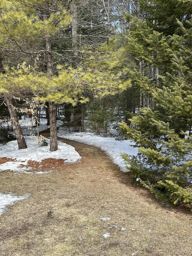 view of yard with a wooded view