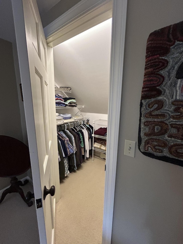 walk in closet with carpet floors