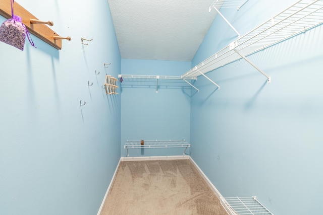 walk in closet featuring carpet flooring