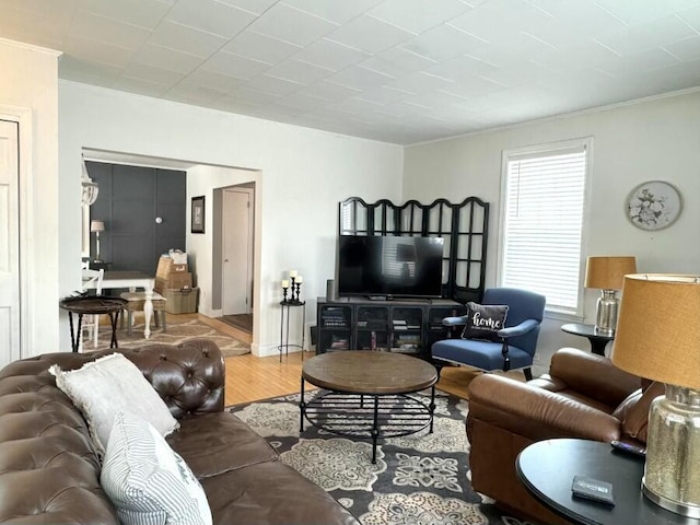 living room featuring wood finished floors